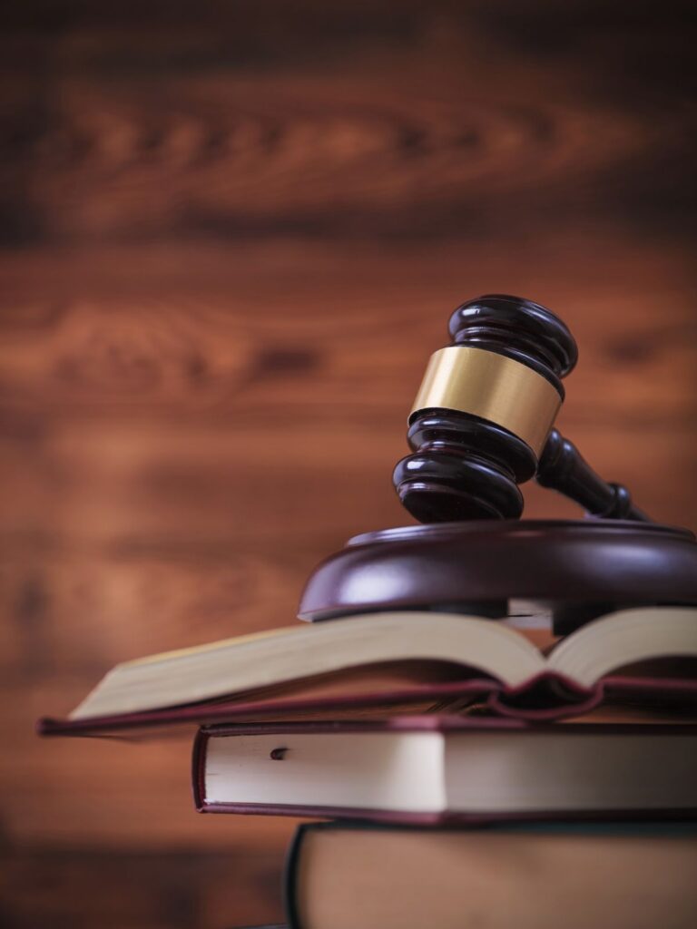 Gavel and Law Book Image